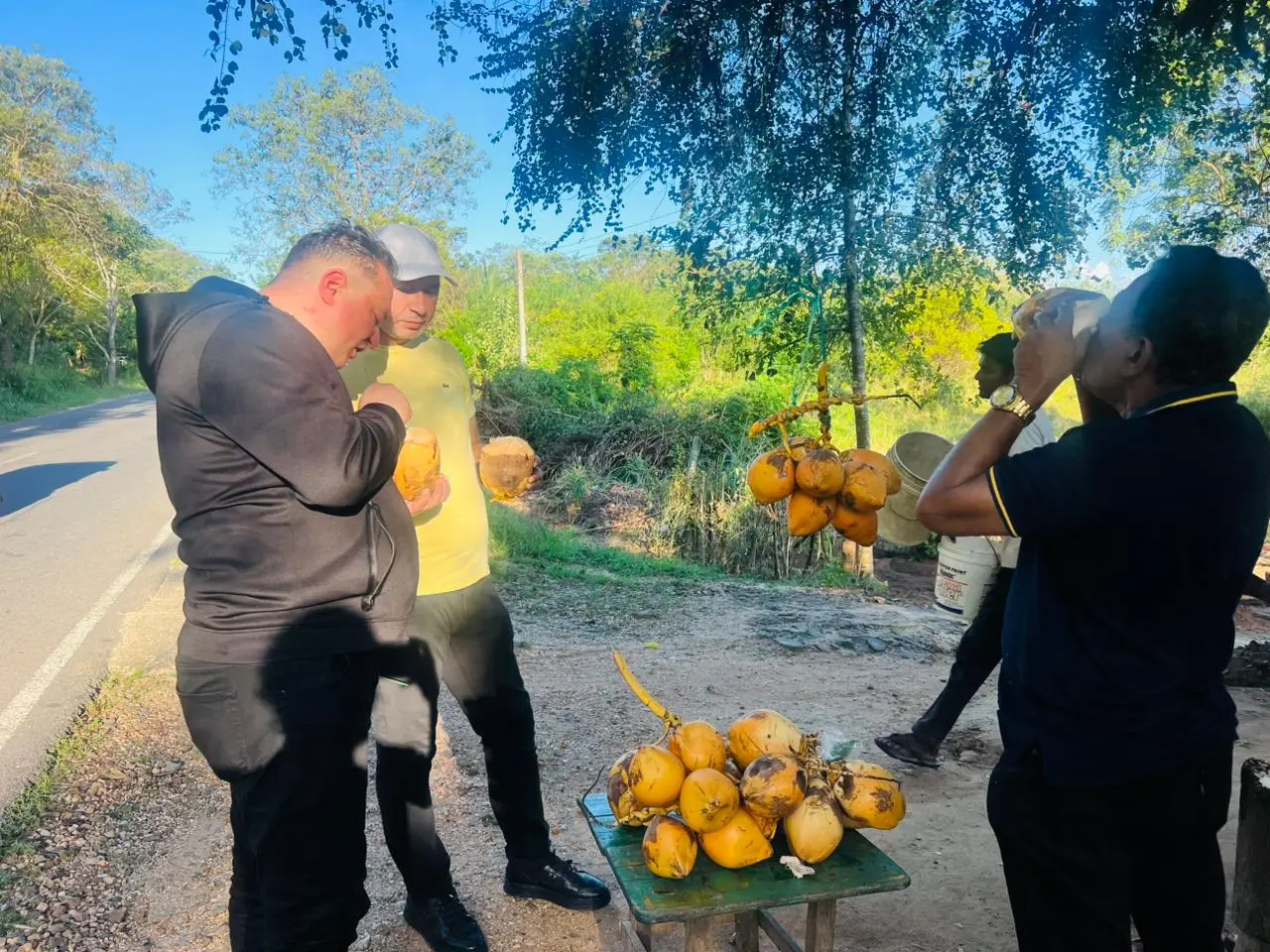 Tea Plantations - Hill Country Beauty